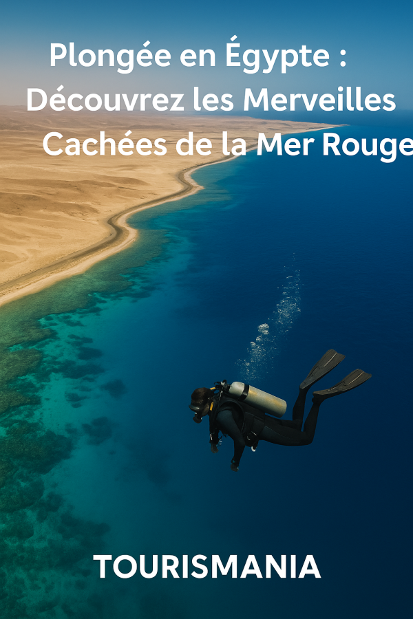Plongée en Égypte : Découvrez les merveilles de la Mer Rouge