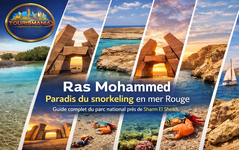 Ras Mohammed : snorkeling en mer Rouge près de Sharm